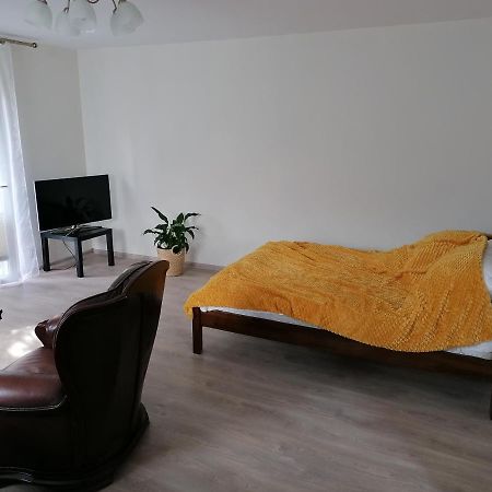 Dabrowka Apartment Нови Сонч Екстериор снимка